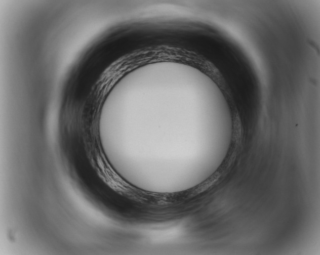 X0000102500765200808080945
