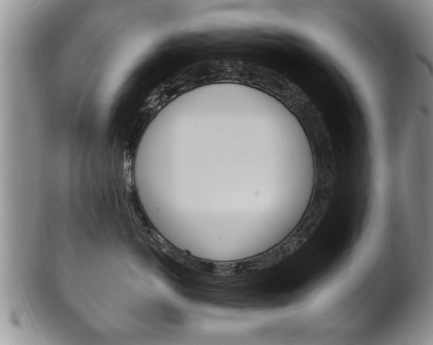 X0000102500766200808080945