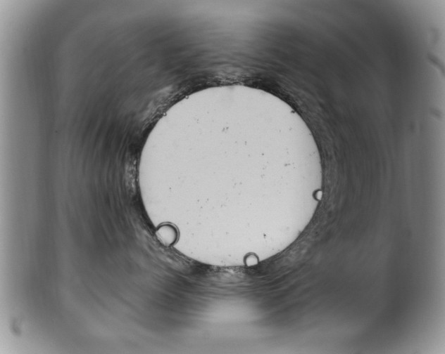 X0000102500768200808080945