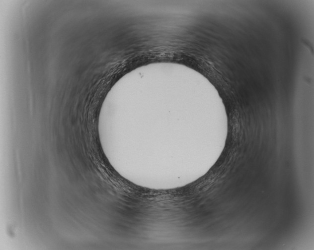 X0000102500769200808080944