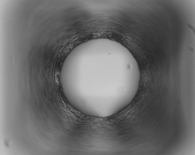 X0000102500770200808080944