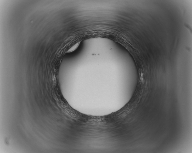X0000102500771200808080944