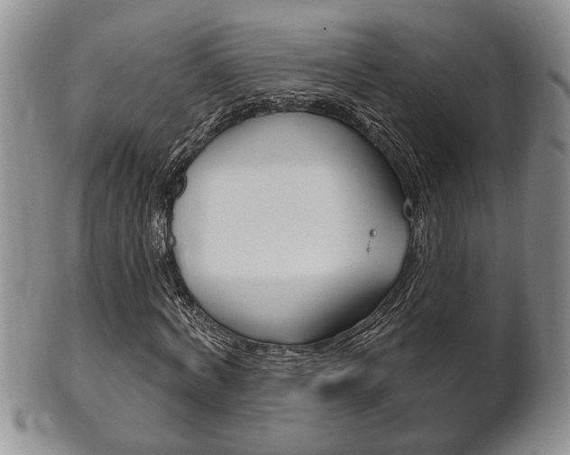 X0000102500772200808080944