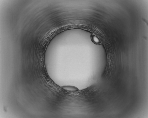 X0000102500773200808080944
