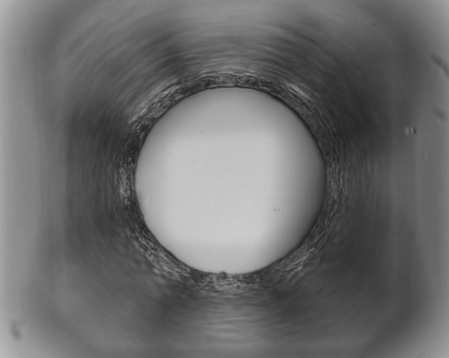 X0000102500774200808080944