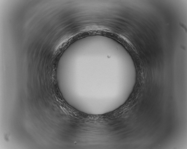 X0000102500775200808080944