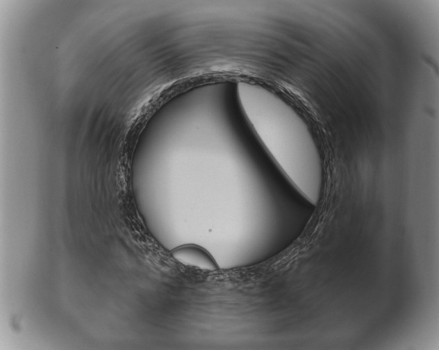 X0000102500776200808080944