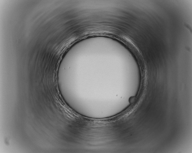 X0000102500777200808080944