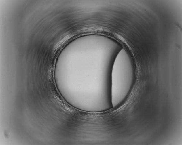 X0000102500778200808080944