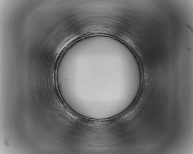 X0000102500782200808080944