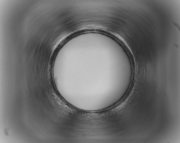 X0000102500783200808080944