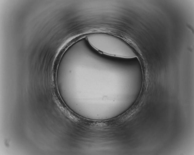 X0000102500784200808080944