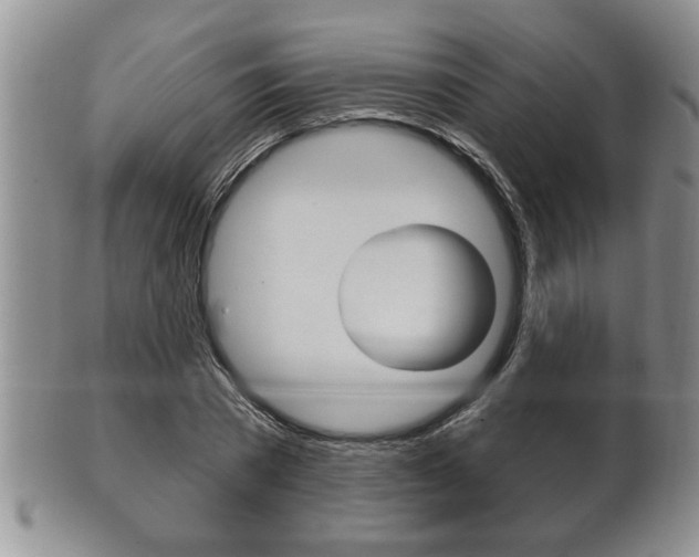 X0000102500785200808080944
