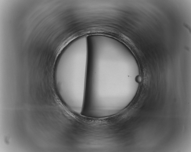 X0000102500786200808080944