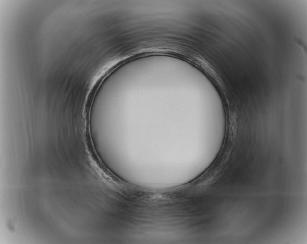 X0000102500787200808080944