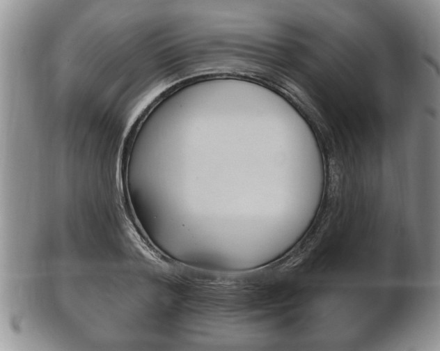 X0000102500788200808080944