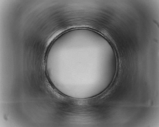 X0000102500789200808080944