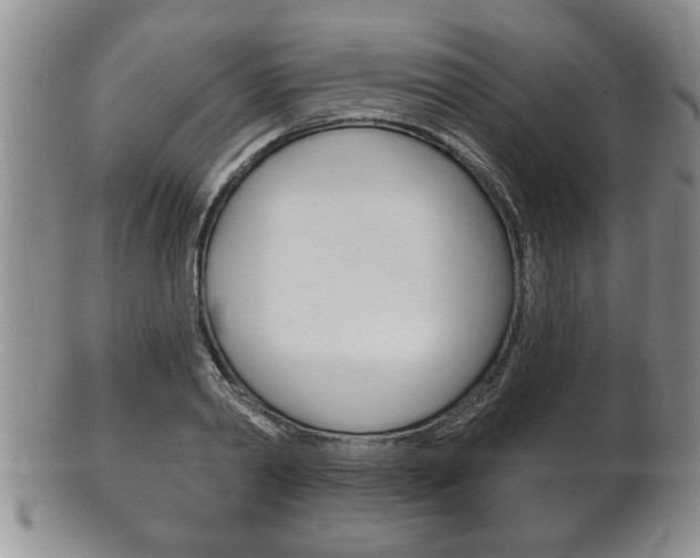 X0000102500790200808080944