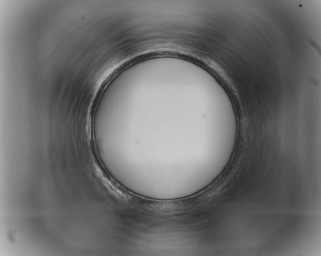 X0000102500791200808080944