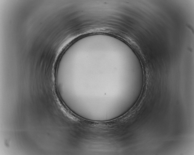 X0000102500792200808080943