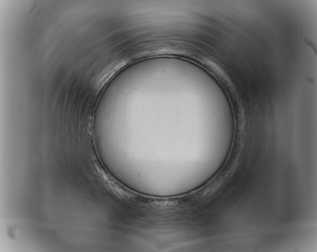 X0000102500793200808080943