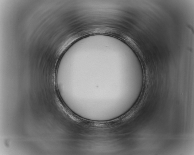 X0000102500794200808080943