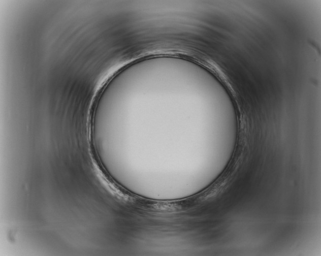 X0000102500795200808080943