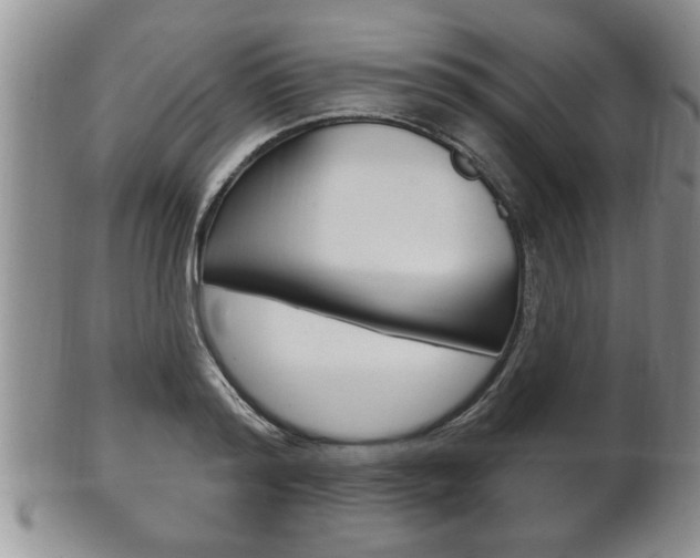 X0000102500796200808080943