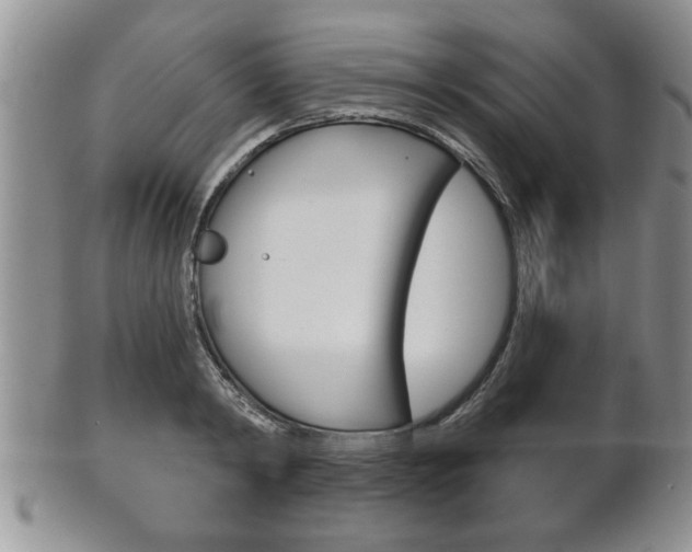 X0000102500798200808080943