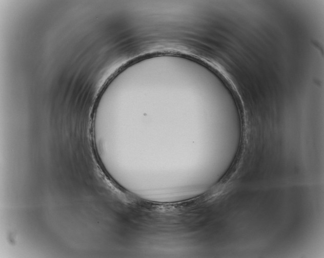 X0000102500799200808080943