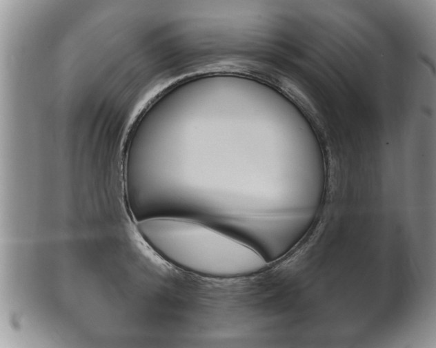 X0000102500800200808080943