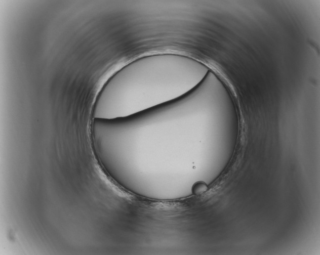 X0000102500805200808080943