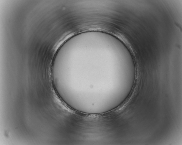 X0000102500806200808080943