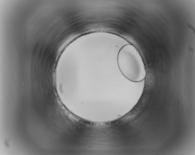 X0000102500807200808080943
