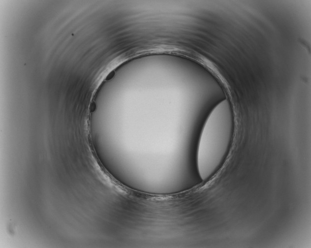 X0000102500810200808080943