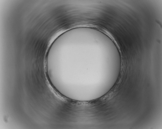 X0000102500811200808080943