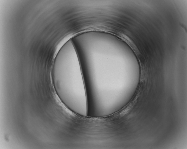 X0000102500812200808080943