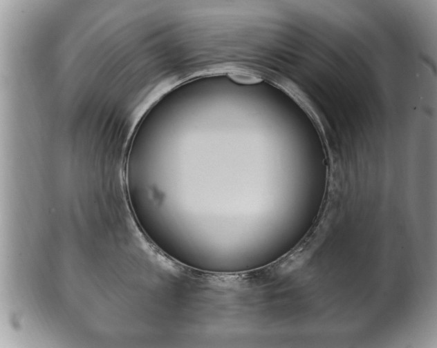 X0000102500813200808080943