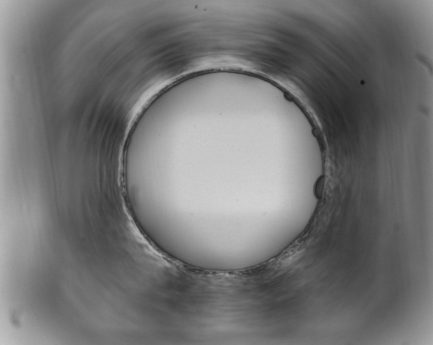 X0000102500815200808080943