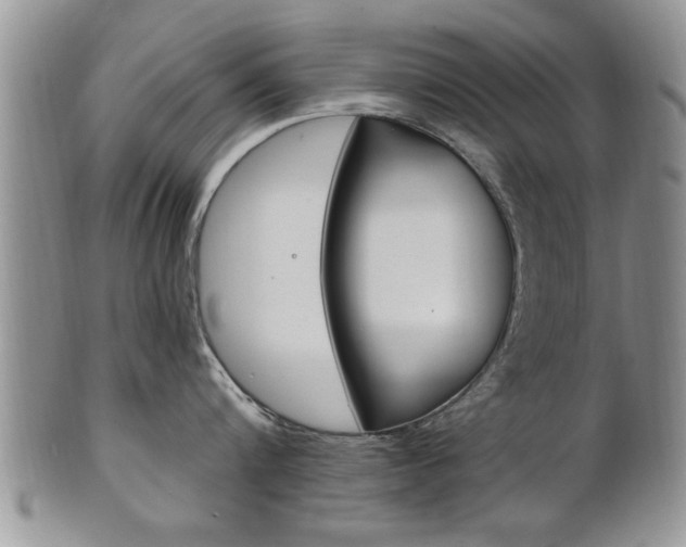 X0000102500816200808080943