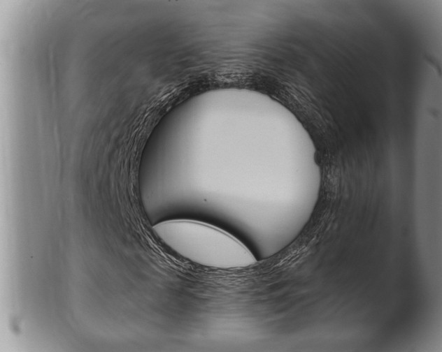 X0000102500817200808080943