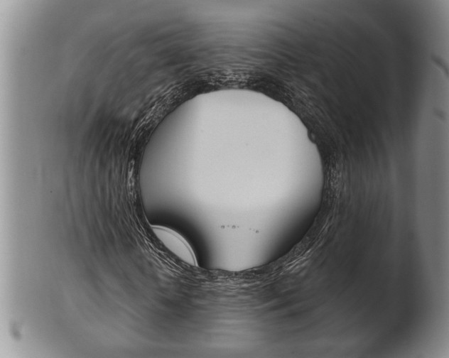 X0000102500818200808080943
