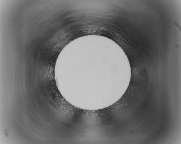 X0000102500820200808080943