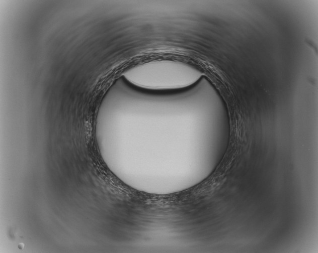 X0000102500821200808080943