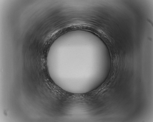 X0000102500822200808080943