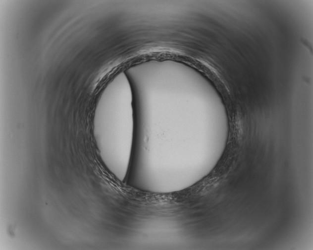 X0000102500823200808080943