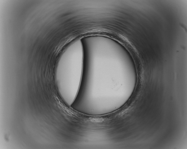 X0000102500825200808080943