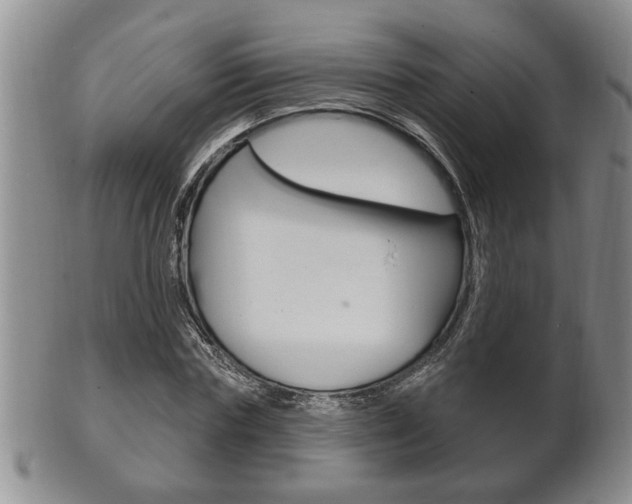 X0000102500827200808080943