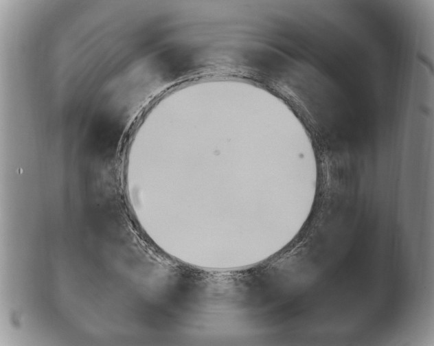 X0000102500828200808080943