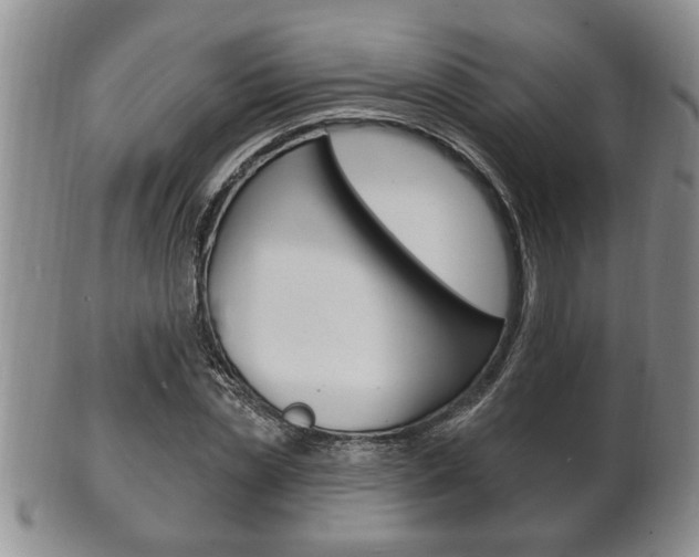 X0000102500829200808080943